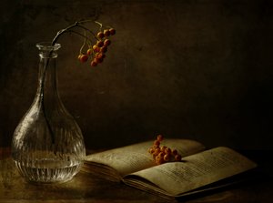 Herbstbeeren und Buch von Delphine Devos