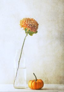 Herbstmutter und Kürbis von Delphine Devos