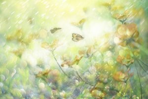 Träumerische Schmetterlingsblüten