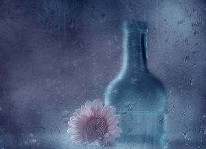 Träumende Regen Gerbera von Delphine Devos