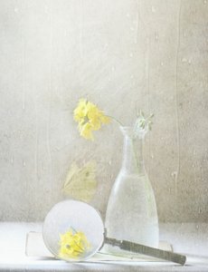 Träumerische gelbe Blumen