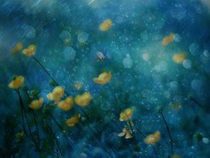 Träumende gelbe Blumen