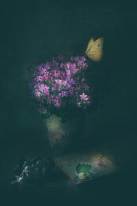 Elegantes Schmetterlings-Stillleben