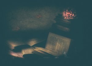 Verzauberte Studienbücher von Delphine Devos