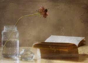 Melancholische Blüte und Buch von Delphine Devos
