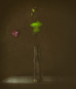 Stille Blüte und Blatt von Delphine Devos