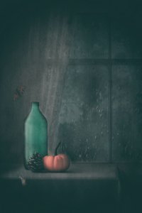 Regnerisches Herbststillleben von Delphine Devos