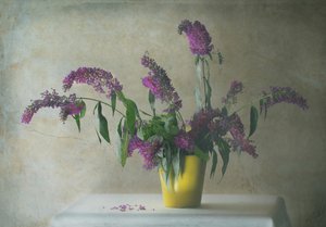 Rustikales Blumen-Stillleben von Delphine Devos