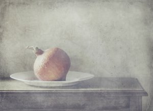 Rustikales Kürbis-Stillleben von Delphine Devos