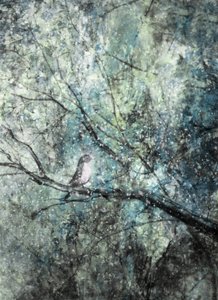 Gelassener Wintervogel