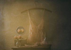 Vintage Boudoir Dessous von Delphine Devos