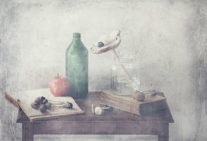 Vintage Stillleben-Arrangement von Delphine Devos