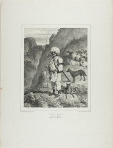 Bannat-Schäfer, Linkes Ufer der Donau von Denis-Auguste-Marie Raffet