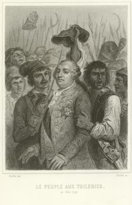 Die Menschen im Tuilerienpalast von Denis Auguste Marie Raffet