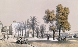 Blick auf die Palmenpromenade in Hyeres an der Côte d