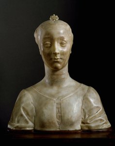 Büste einer jungen Dame von Desiderio da Settignano