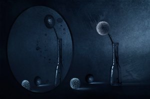 Blaue Distelreflexion