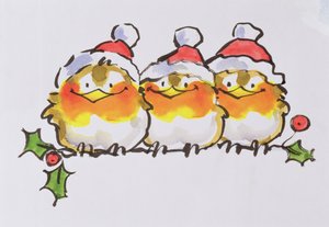 Weihnachtsrotkehlchen von Diane Matthes