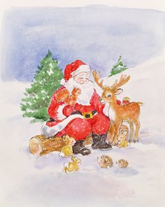 Weihnachtsmann und Freunde von Diane Matthes