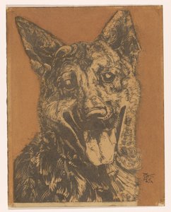 Hund Cees