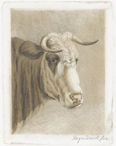 Koekop von Diederik Jan Singendonck (signed by artist)