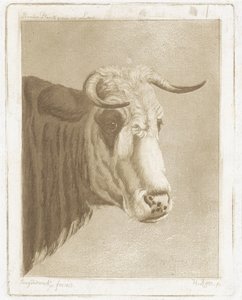 Koekop von Diederik Jan Singendonck