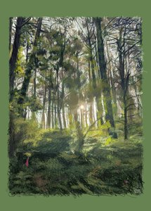 Zweige und Bäume im Gegenlicht, 2022