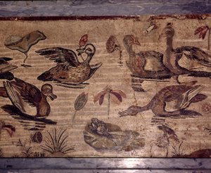 Römisches Mosaik aus Pompeji von Enten und Fröschen in einem Wassergarten von Dioscurides of Samos