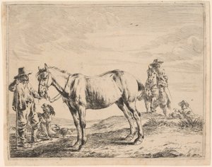 Ein Mann hält ein Pferd am Zügel