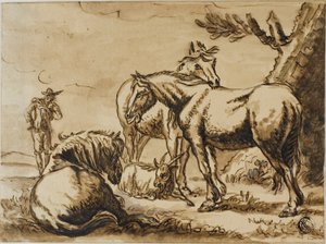 Pferde, Ziege und ein Mann
