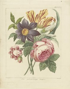 Blumenstrauß mit Pfingstrose und Tulpe von Dirk Sluyter