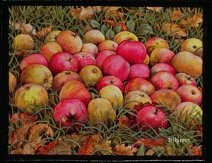 Durnitzhofer Äpfel, 1993 von Ditz