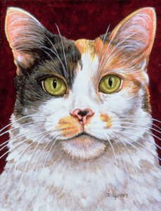 Ringelblume, 1997