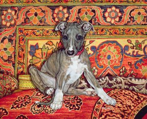 Mein Whippet-Baby, 1994 von Ditz