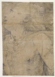 Aufblickender Jüngling, (Halbfigur), Fragment eines Kartons? von Domenico Beccafumi