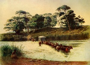 Ochsenkarren überquert eine Furt am Umbelois-Fluss-Swasiland, 1902