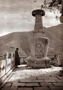 Marmorsentinel, Peking