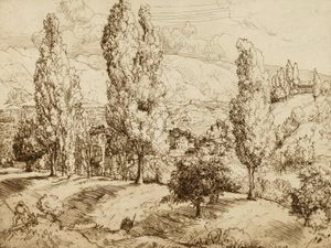 Felder von Asolo von Donald Shaw MacLaughlan