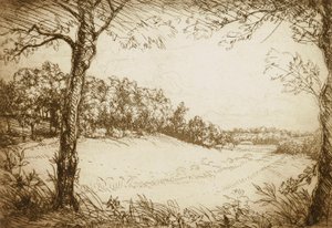 Sommermorgen in Tennessee von Donald Shaw MacLaughlan