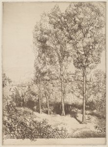 Sonnenlicht und Schatten, Nr. 3 von Donald Shaw MacLaughlan