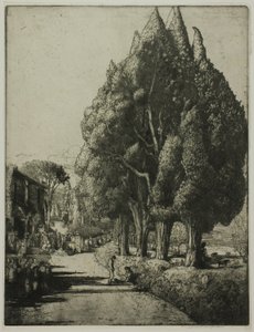 Der Zypressenhain von Donald Shaw MacLaughlan