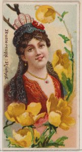 Butterblumen: Reichtum, aus der Serie Floral Beauties and Language of Flowers N75 für Duke