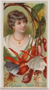 Fuchsie: Geschmack, aus der Serie Floral Beauties and Language of Flowers N75 für Duke bra..., 1892