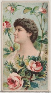 Moosrose: Liebesgeständnis, aus der Serie Blumenpracht und Blumensprache N7..., 1892
