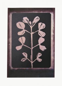Dunkle botanische Silhouette