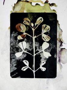 Erdige Botanische Form von Doris Schmitz