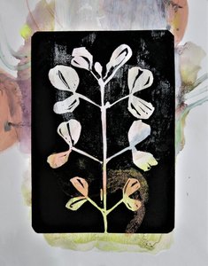 Pastell-Botanische Studie