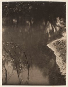 Studie von Bäumen, die sich im Wasser spiegeln, ca. 1925-34 von Doris Ulmann