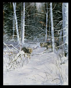 Wölfe in einem verschneiten Wald