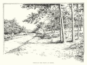 Durch die Wälder bei Esher von Duncan Moul